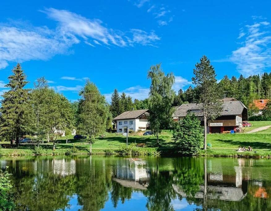 Ferienwohnung "Am Skilift" Herrischried 外观 照片