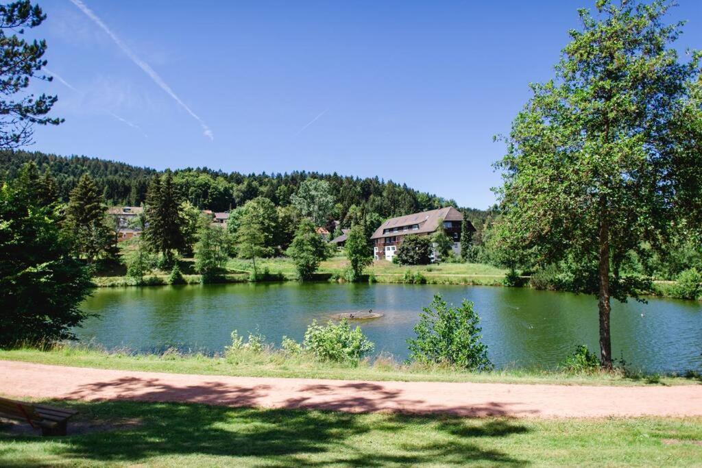 Ferienwohnung "Am Skilift" Herrischried 外观 照片