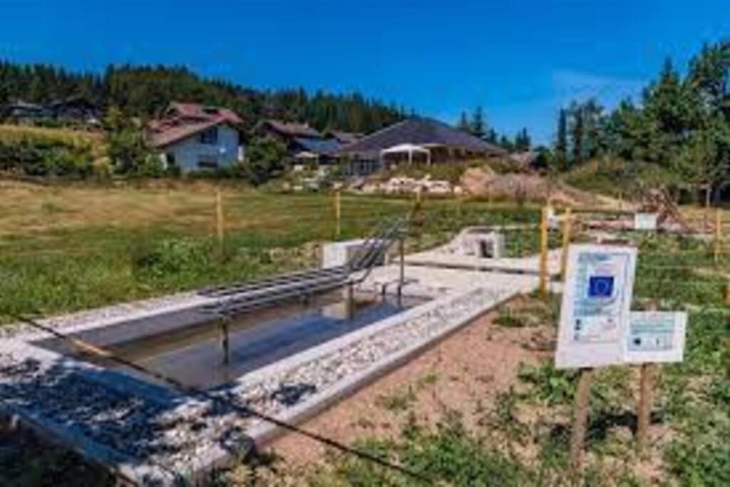 Ferienwohnung "Am Skilift" Herrischried 外观 照片