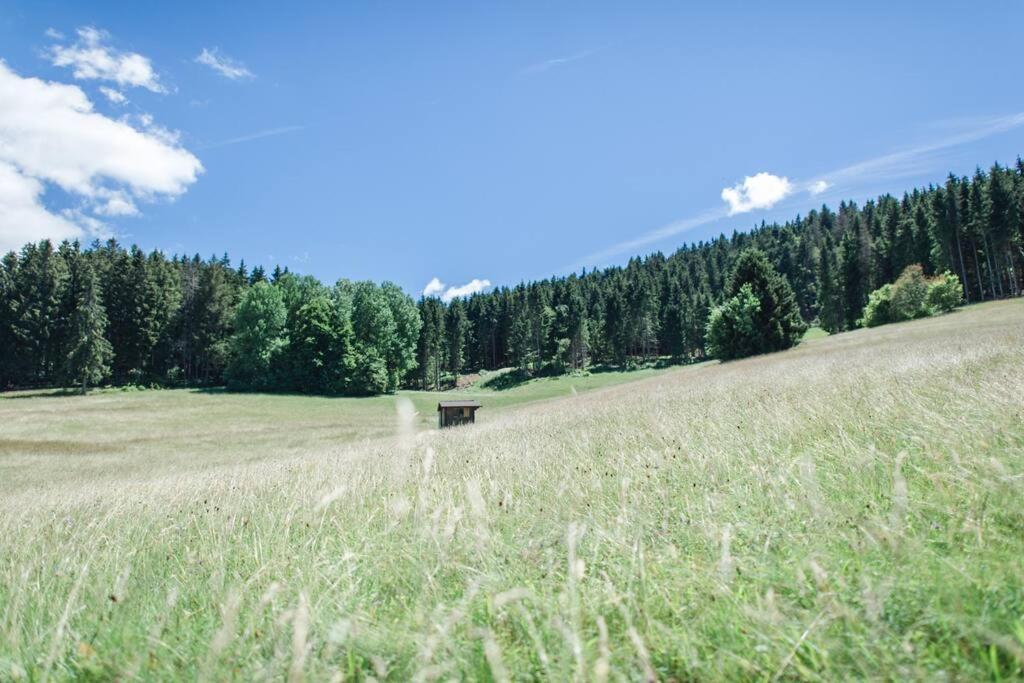 Ferienwohnung "Am Skilift" Herrischried 外观 照片
