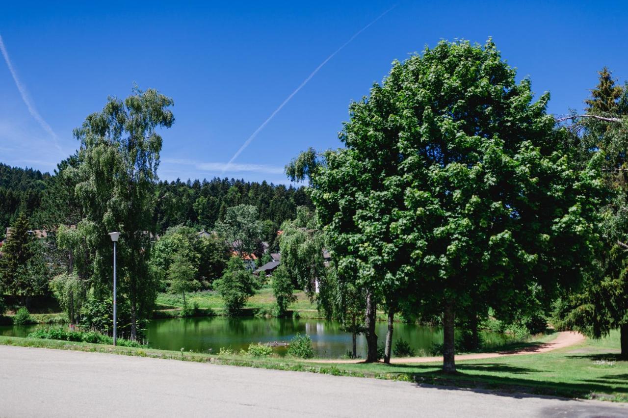 Ferienwohnung "Am Skilift" Herrischried 外观 照片