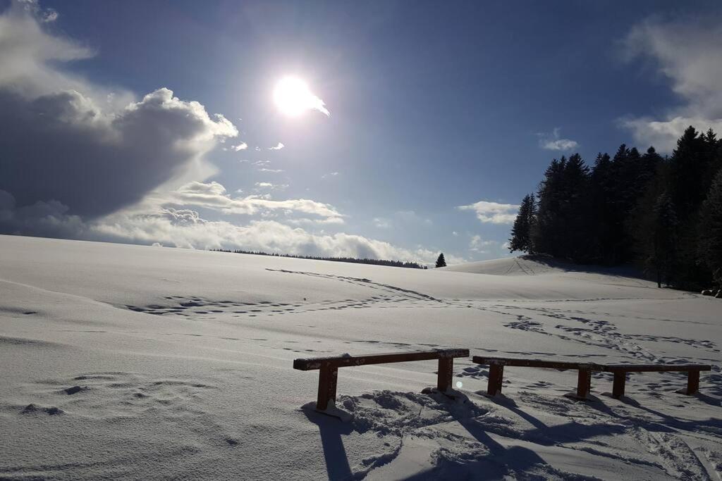 Ferienwohnung "Am Skilift" Herrischried 外观 照片