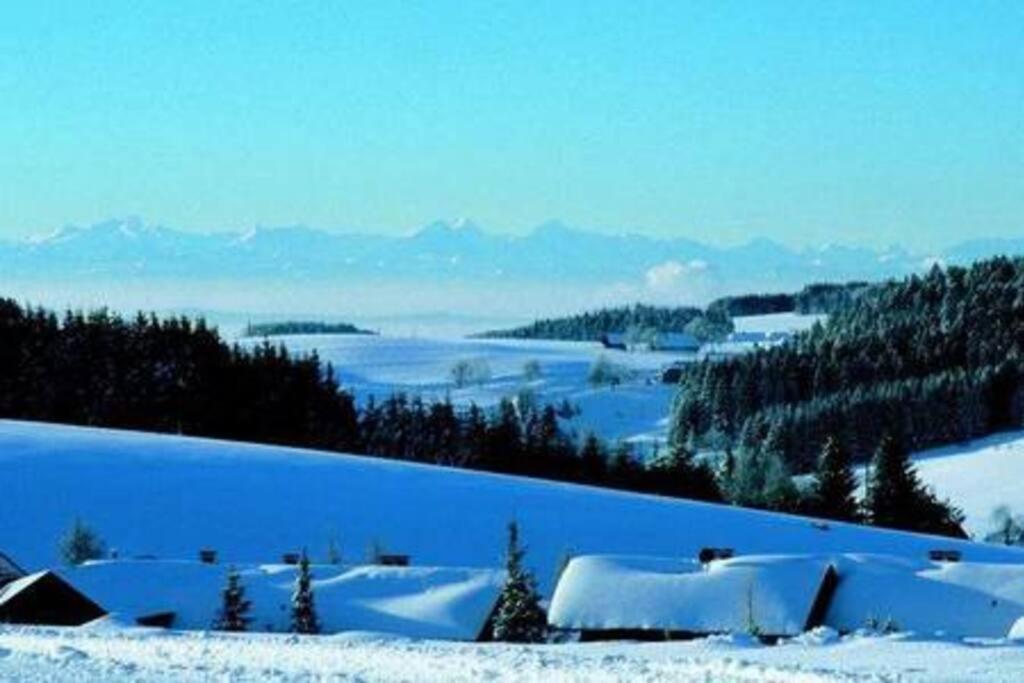 Ferienwohnung "Am Skilift" Herrischried 外观 照片